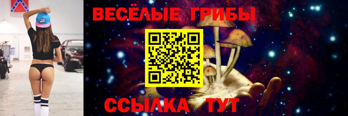Моздок  Псилоцибиновые грибы ЛСД  Галлюциногенные грибы Cubensis  Вход с VPN 